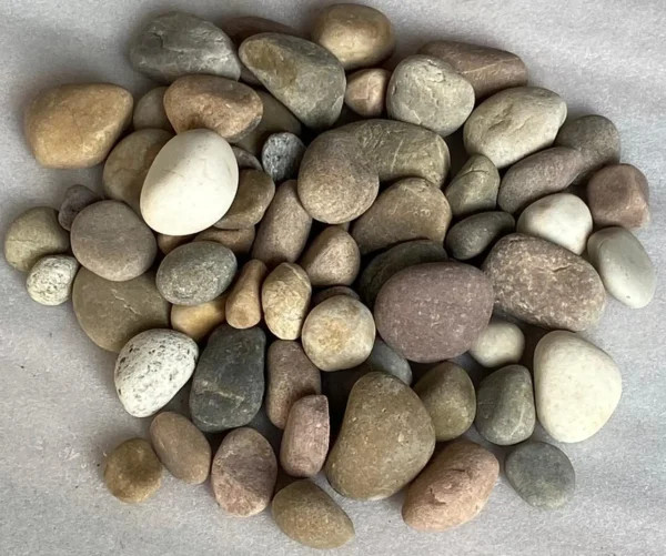 Brown Color Loose Medium Size Natural Stone River Pebble