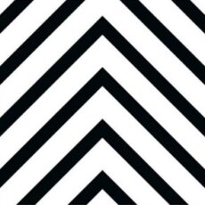 AR4010 Black and White Printed Tile